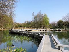 -白塘生态植物园