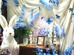 -初甜·舒芙蕾·韩式雪花冰(流塘店)