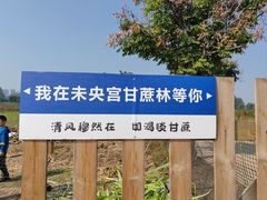 -汉长安城未央宫国家考古遗址公园