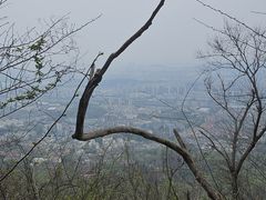 -紫金山山顶公园