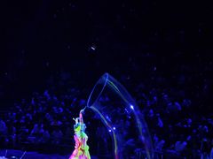 -珠海横琴长隆《卡卡虎奇遇记》