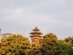 -塔子山公园
