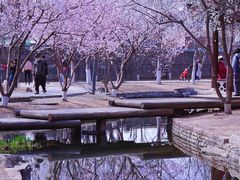 -三里河公园