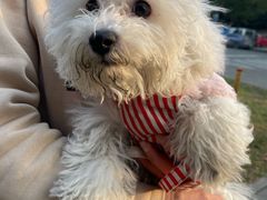 -瑞鹏宠物医院·超声·骨科·奇麟分院(蜀都万达店)