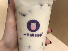 -一只酸奶牛(时代天街A馆店)