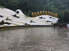 -西双版纳原始森林公园