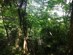 -北高峰
