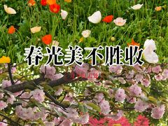 -武汉园博园(武汉自然博物馆)