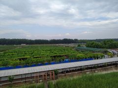-河北村民俗体验园