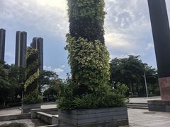 -聚龙山公园