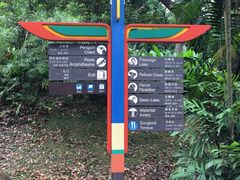-新加坡飞禽公园