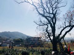 -塔川景区