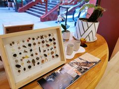 -二酉书店TOYOU BOOKS