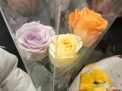 -循礼门鲜花花市(武汉循礼门店)