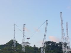 -詹爷爷乌节路街头冰淇淋