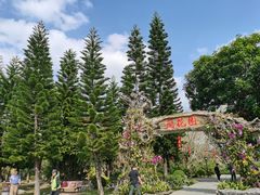 -东莞植物园