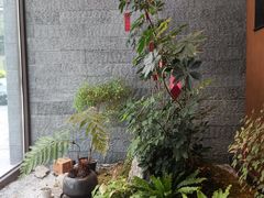 -水之惠鲜鱼料理(王府大街店)