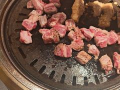 -杨小佳·齐齐哈尔烤肉·烤串(广州店)