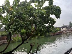 -乌镇景区