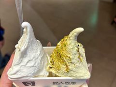 -野人先生Gelato(上海长宁龙之梦店)