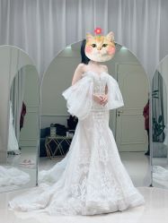 点击看大图 -LOVE SHINE婚纱·红鼎庄龙凤褂·妈妈装定制