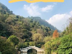 -黔灵山公园