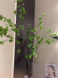 -CRAIE可瑞医美式医美·111SKIN
