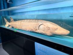 -国家自然博物馆