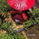 杭州｜520不知道吃什么？来这家吧！