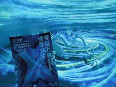 -上海宝龙美术馆