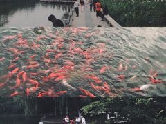 -荆川公园