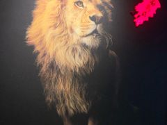 -老鼎旺安格斯牛肉火锅(衡艺广场店)