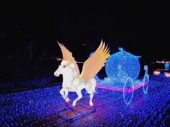 -飞凤山奥体公园