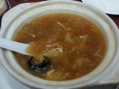 招牌海参鱼肚煲仔-添發碗仔翅美食