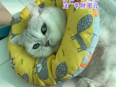 -美联众合动物医院·24h转诊中心
