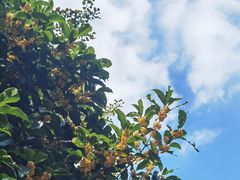 -白塘生态植物园
