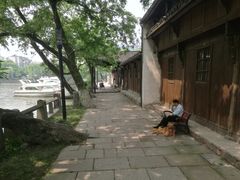 -运河游船(武林门码头)