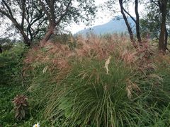 -西湖风景区-江洋畈生态公园