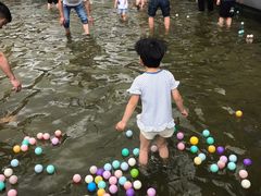 -田园东方蜜桃村的田野营地