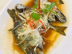 -聚福宝合苑食府(南头镇店)