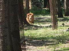 -秦皇岛野生动物园