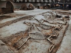 -古车博物馆