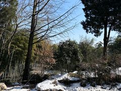-江南天池