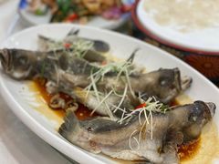 石斑鱼-寻味顺德·南记酒家·传统顺德菜·鱼生(广源路店)