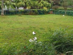 -雅安楠水阁温泉酒店