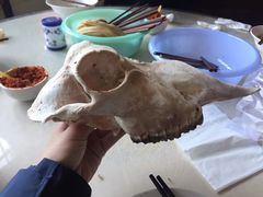 -铁谢李松祖传羊肉汤馆
