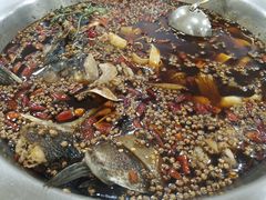 -大味美蛙鱼头(遂宁总店)