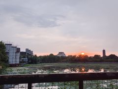 -卡萨布兰卡(梅苑店)