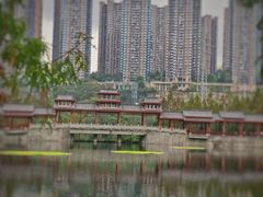 -重庆彩云湖湿地公园