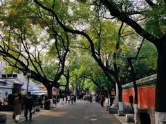 -北京国子监胡同